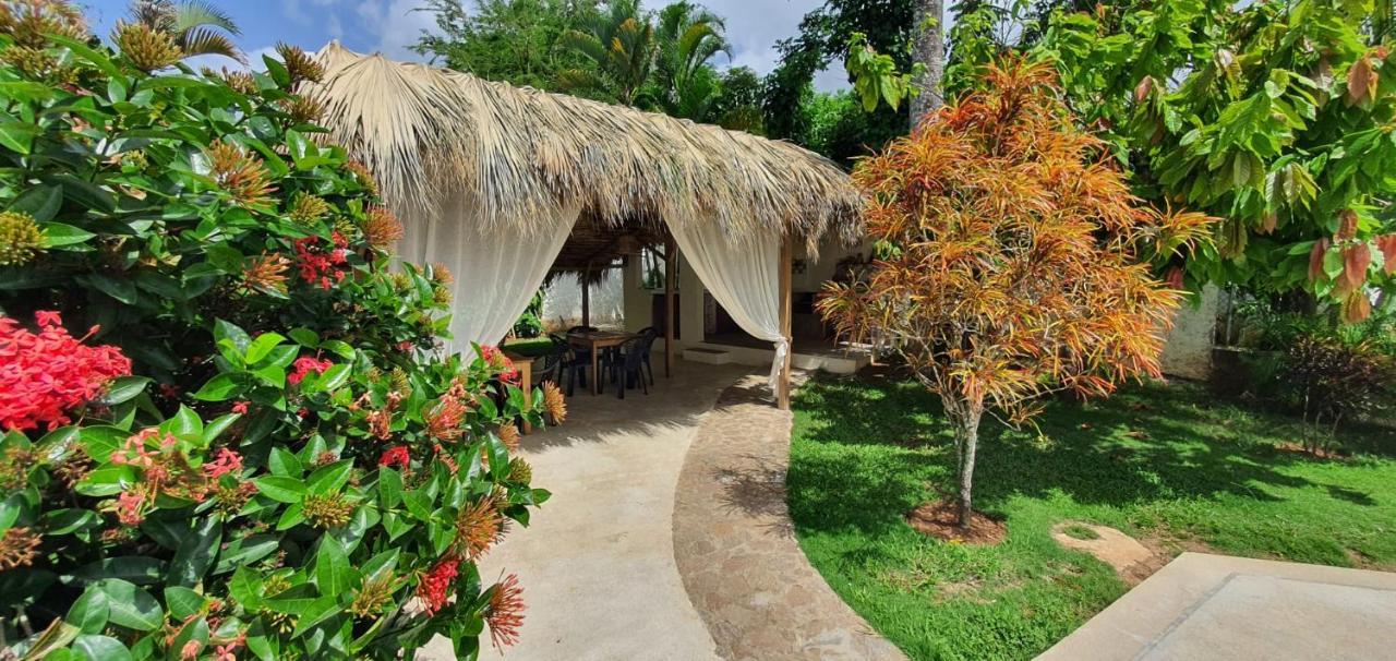 Casa Gio Hotel Las Terrenas Bagian luar foto