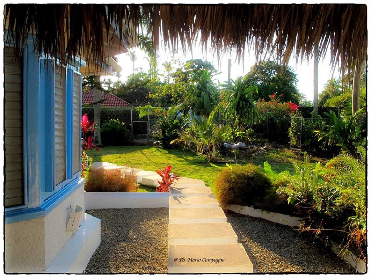 Casa Gio Hotel Las Terrenas Bagian luar foto